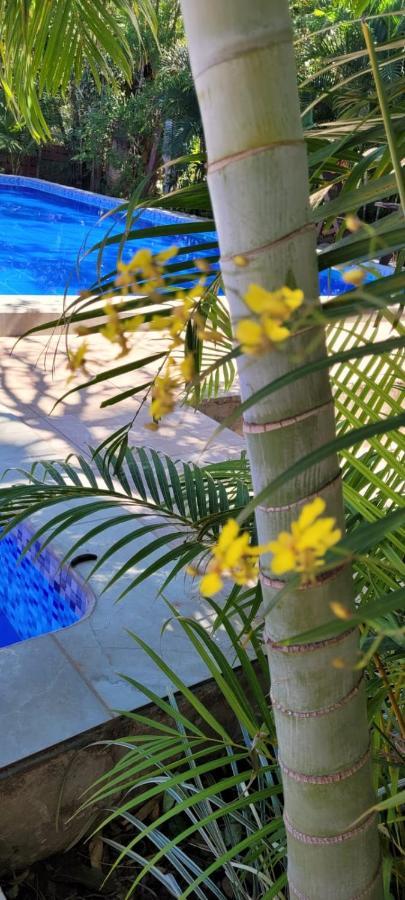 Rustico & Hotel Boutique Las Churapas San José de Chiquitos Dış mekan fotoğraf